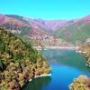 rabia_tahir1
